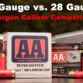 28 gauge and 12 gauge shotshells side by side on a shooting bench with shotguns behind them.