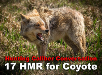 17 HMR for Coyote Hunting – A Good Choice?