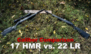 17 HMR vs 22 Long Rifle - The Lodge at AmmoToGo.com