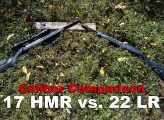 17 HMR vs 22 Long Rifle