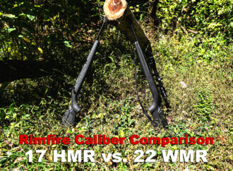 17 HMR vs 22 WMR