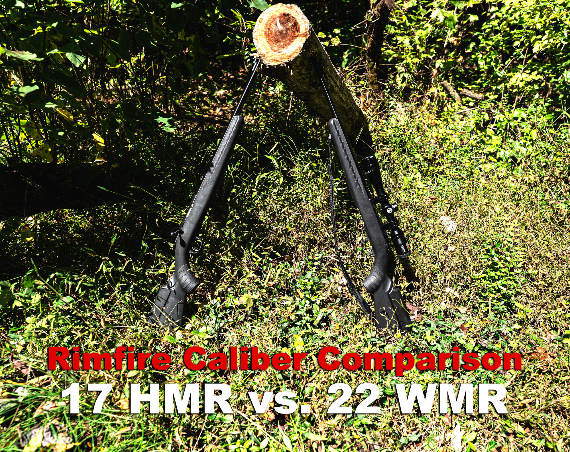 17 HMR vs 22 WMR rifles at a shooting range against a tree