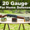 20 Gauge Home Defense Ammo