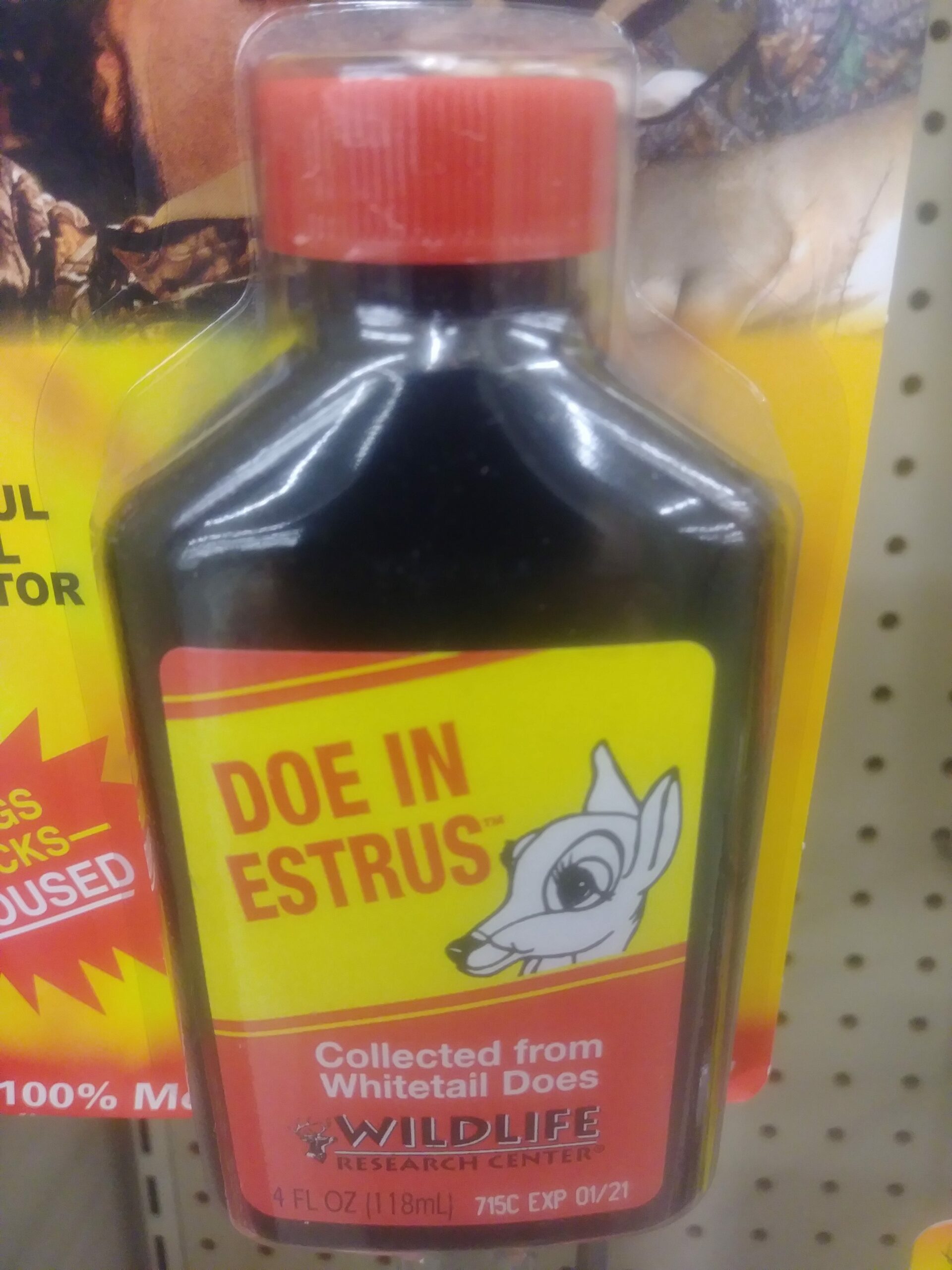 Scent Control Basics for Deer Hunters