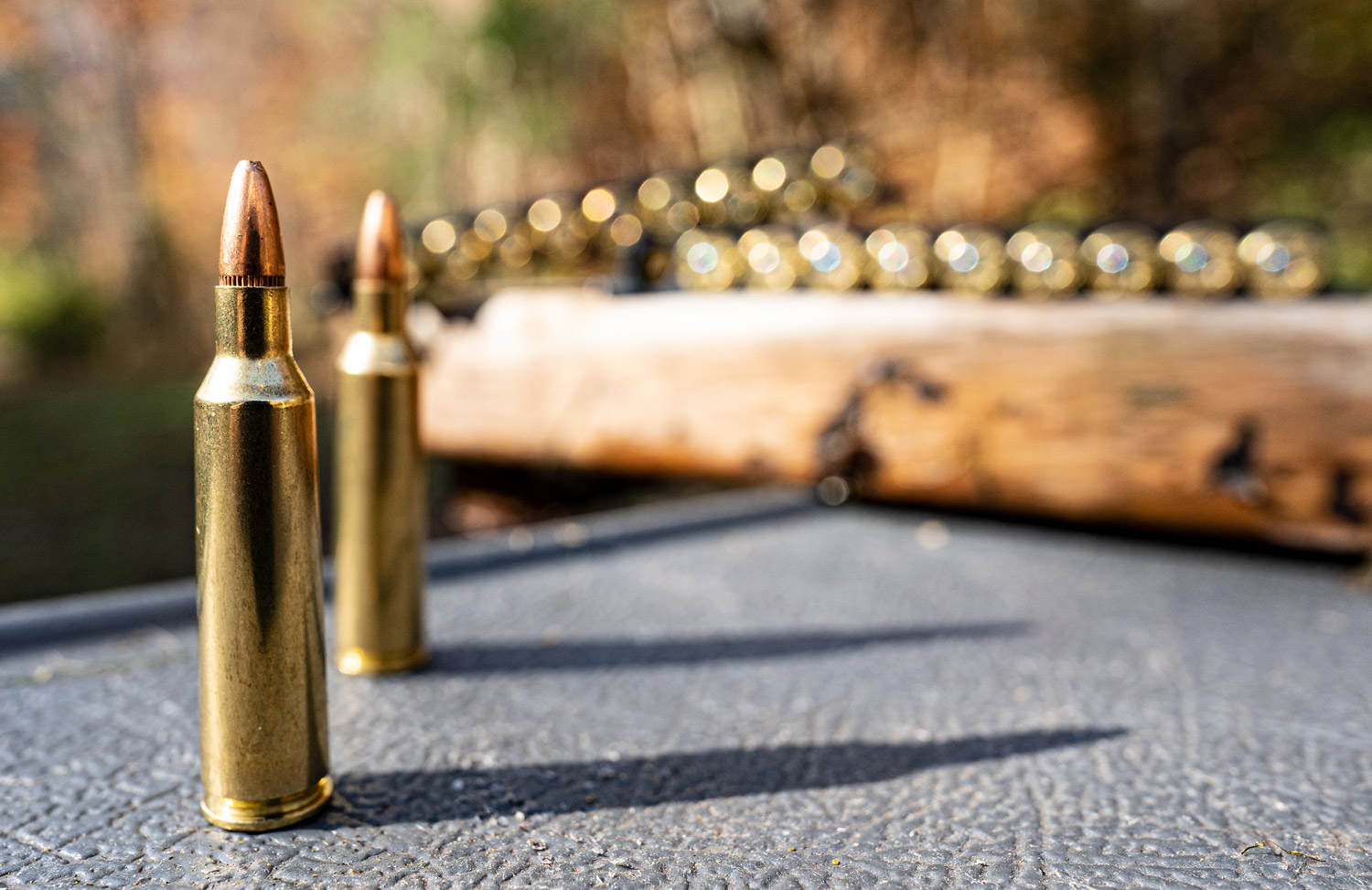 22-250 ammo cartridges on a shooting bench