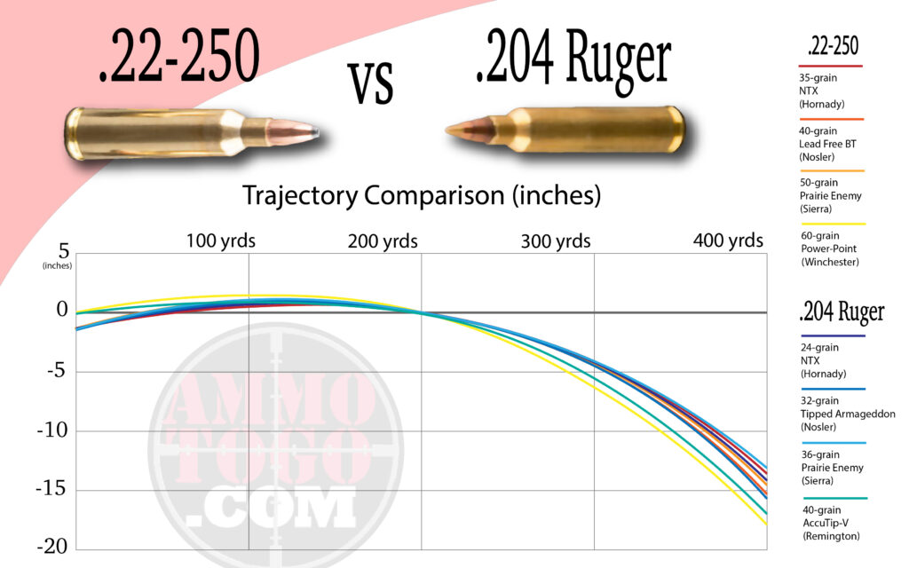 22-250 trajectory vs 204 Ruger