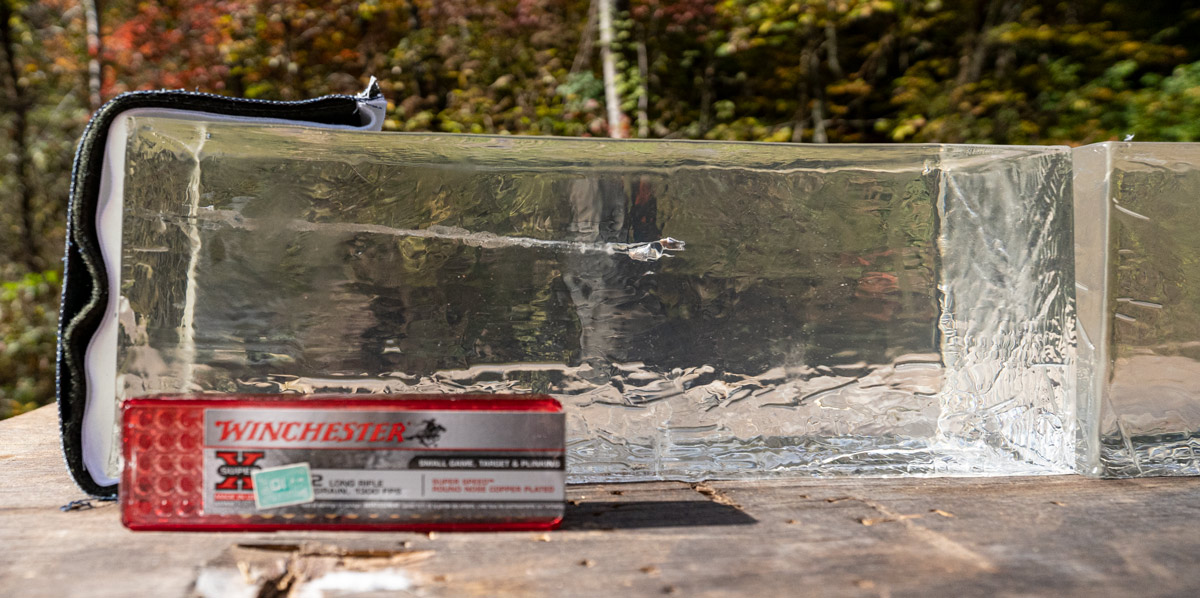 22Lr fired into ballistic gelatin