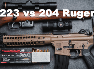 223 vs 204 Ruger