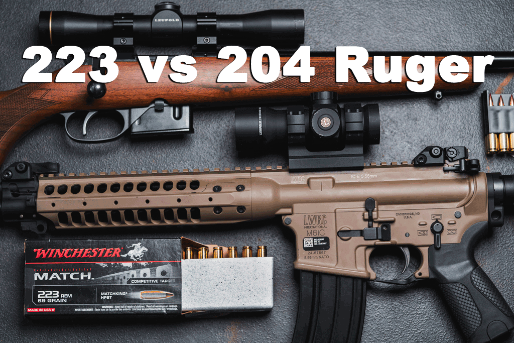 223 vs 204 Ruger rifles and ammo on display