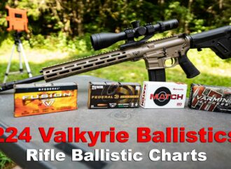224 Valkyrie Ballistics