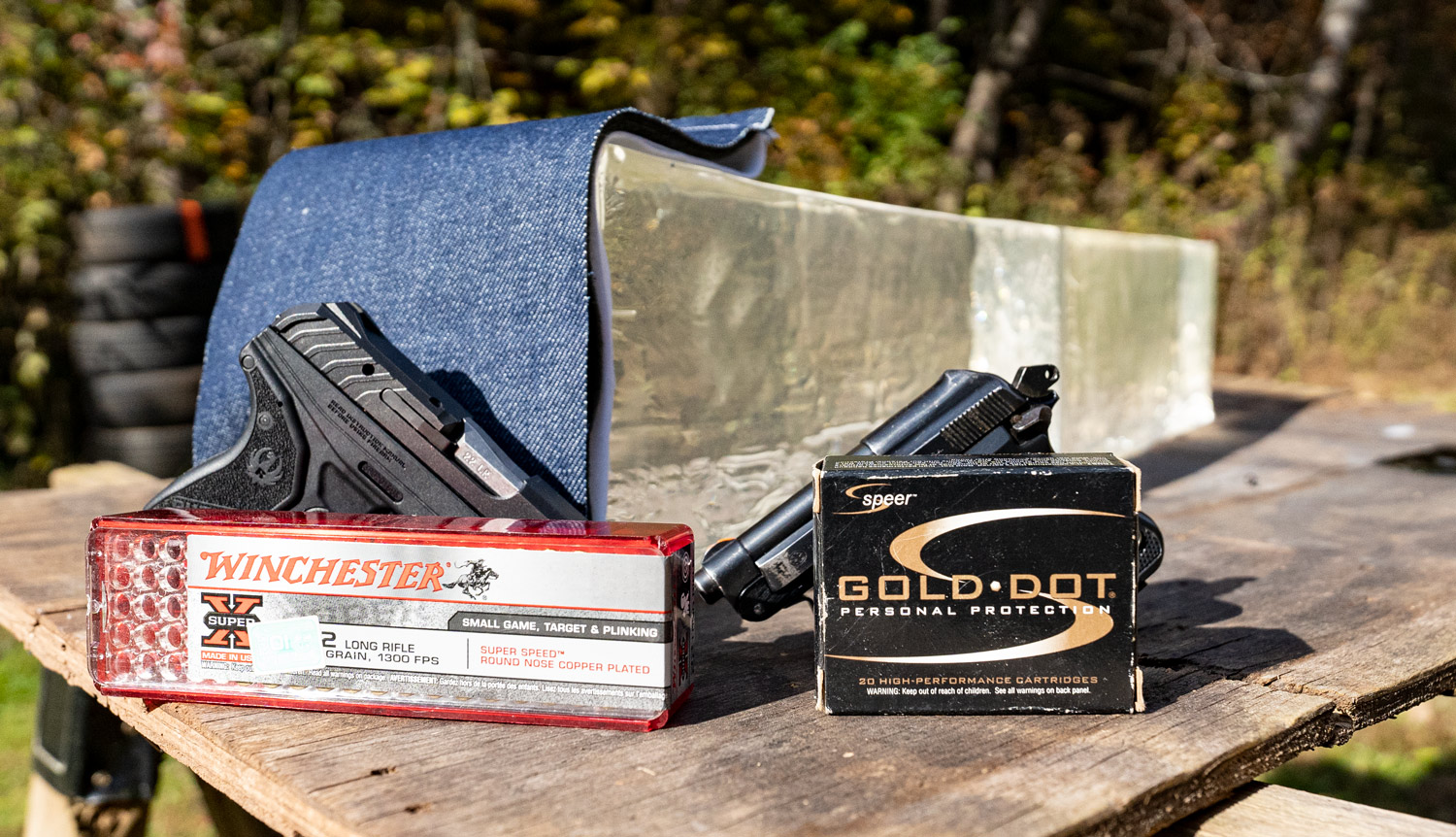 Testing 22LR vs 25 ACP for self-defense