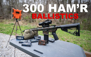 300 HAM'R Ballistics - Velocity and Energy Data