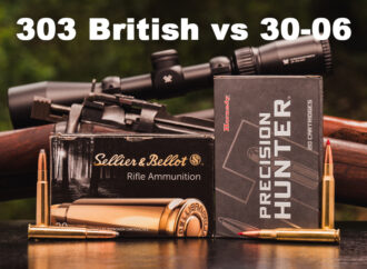 303 British vs 30-06