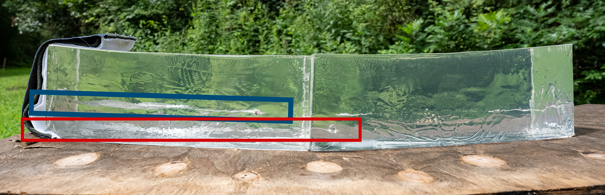 380 Vs 9mm Caliber Comparison With Gel Testing