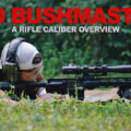 Shooting 450 Bushmaster at the range