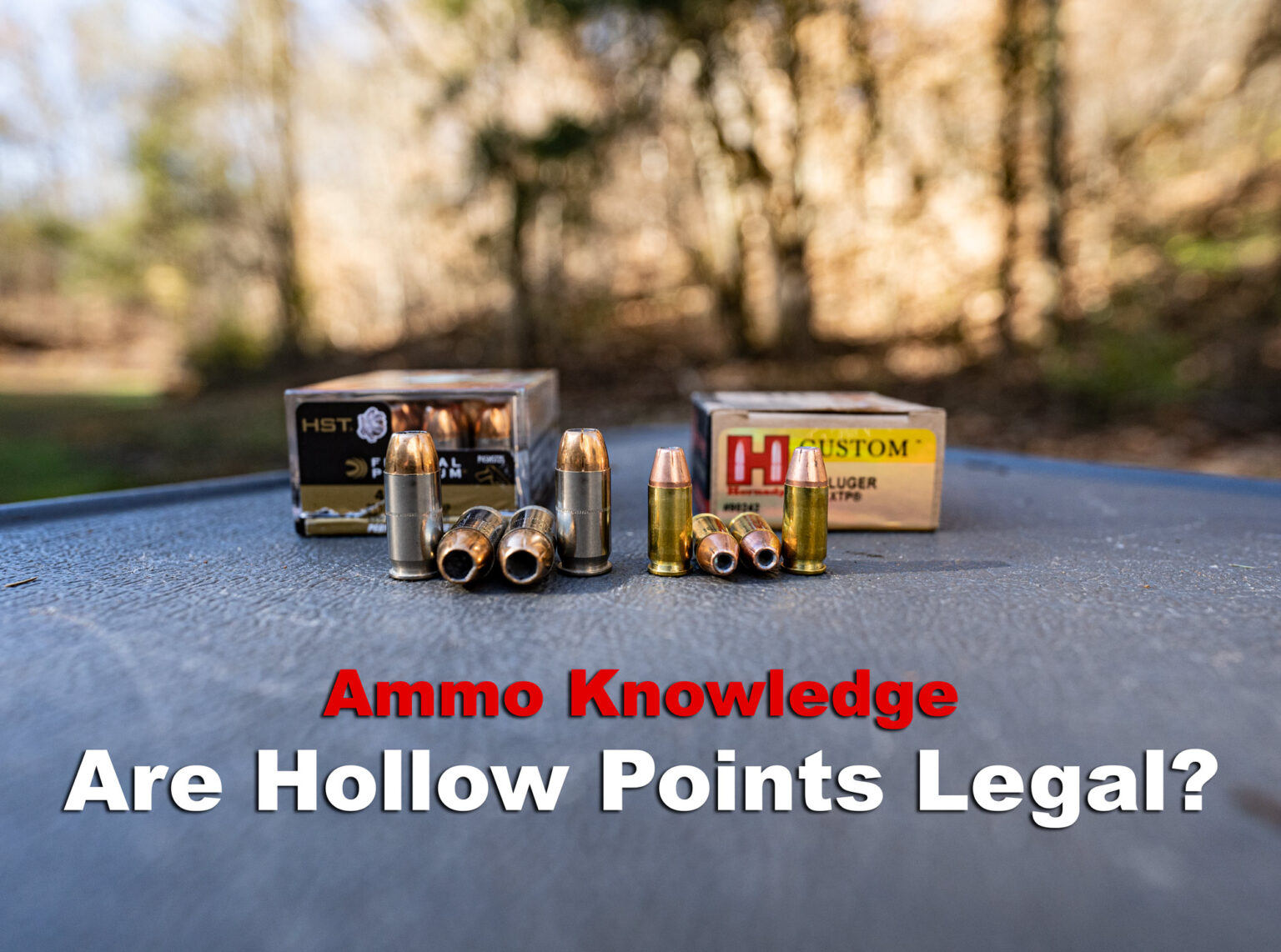 Are Hollow Point Bullets Illegal Ammo To Go 