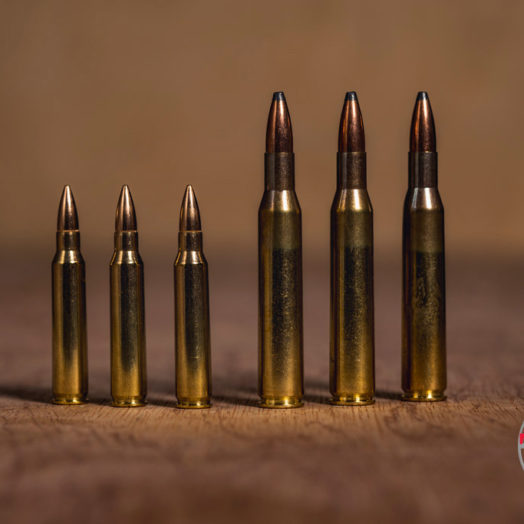 12 Gauge vs. 20 Gauge - What is the Superior Shotgun Caliber?