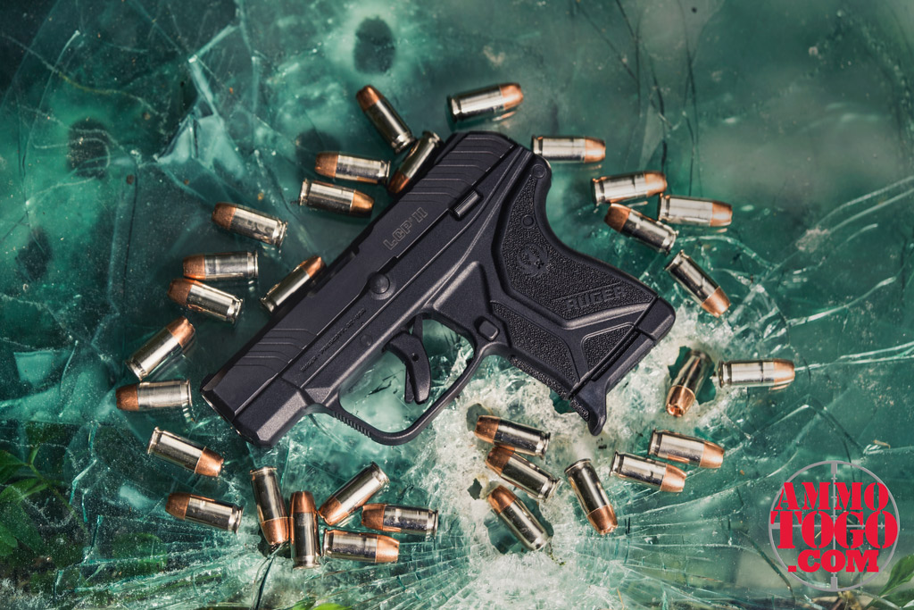 Best 380 Acp Ammo For Self Defense