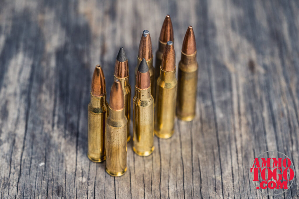 The Best Bullets for Deer Hunting - The Lodge at AmmoToGo.com