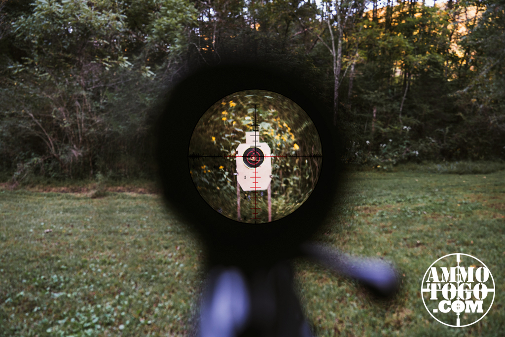 Zoomed in picture of a scope reticle