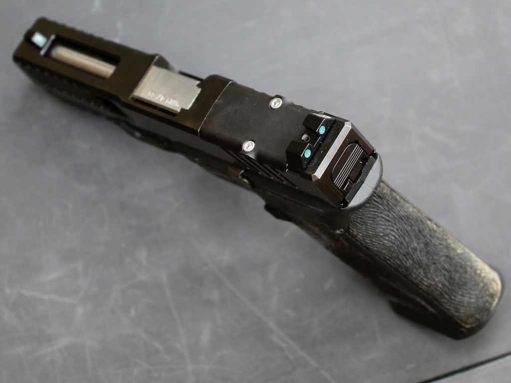 BC Grizzly overhead view