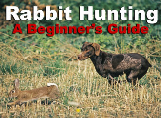 Rabbit Hunting – The Basics for a Great Hunt