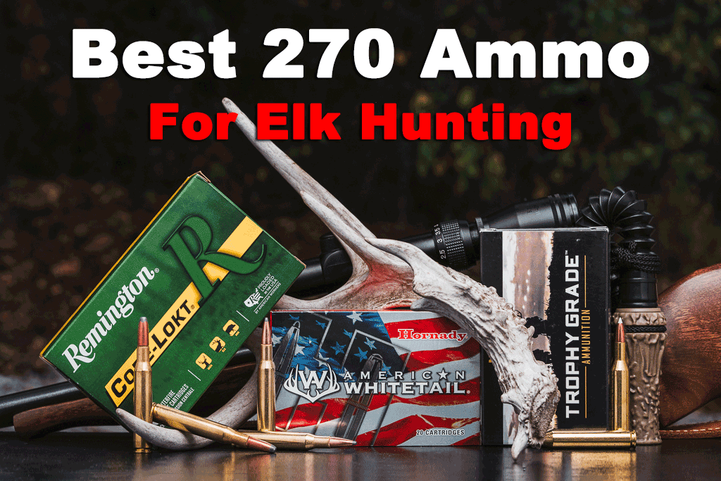 Best 270 ammo for elk hunting