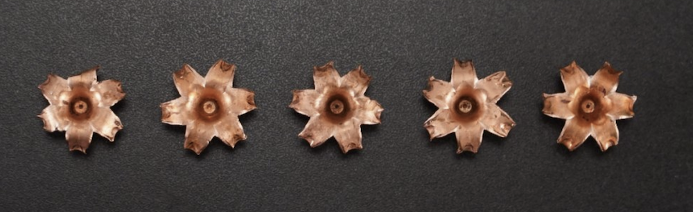 Buffalo Bore 10mm expanded bullets