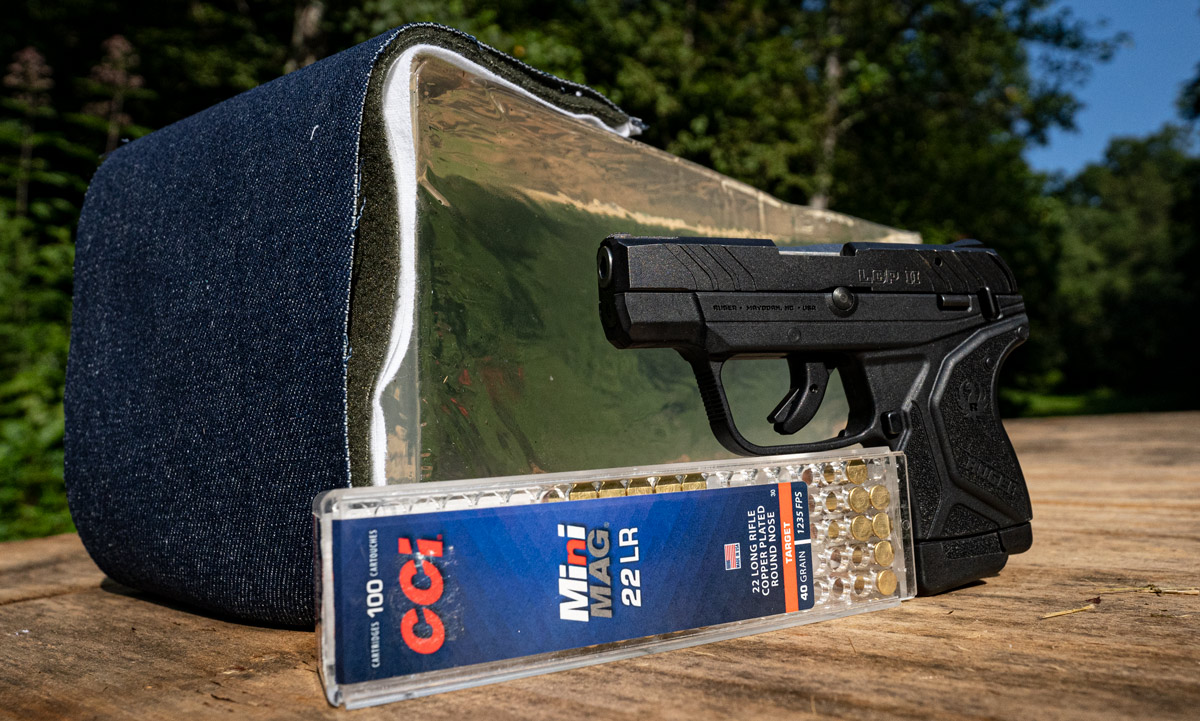 testing if 22lr is good for home defense with ammo and ballistic gelatin