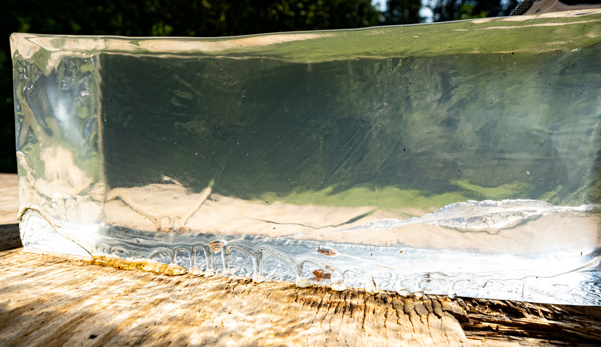 CCI Mini mag 22lr ammo fired into gelatin to see if it's effective for home defense