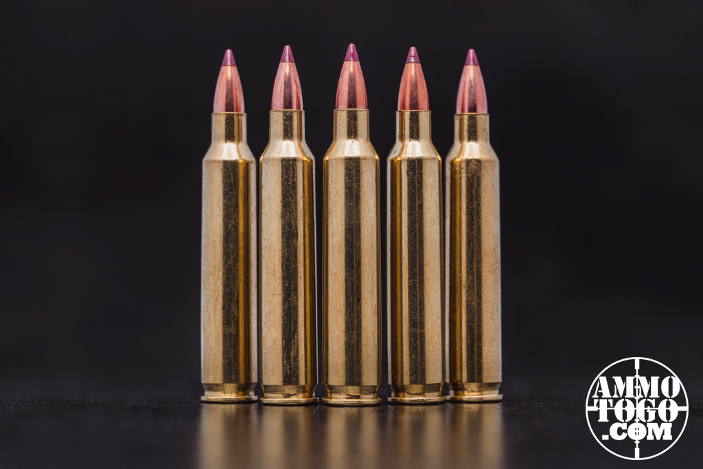 A line of five 204 Ruger ammo cartridges