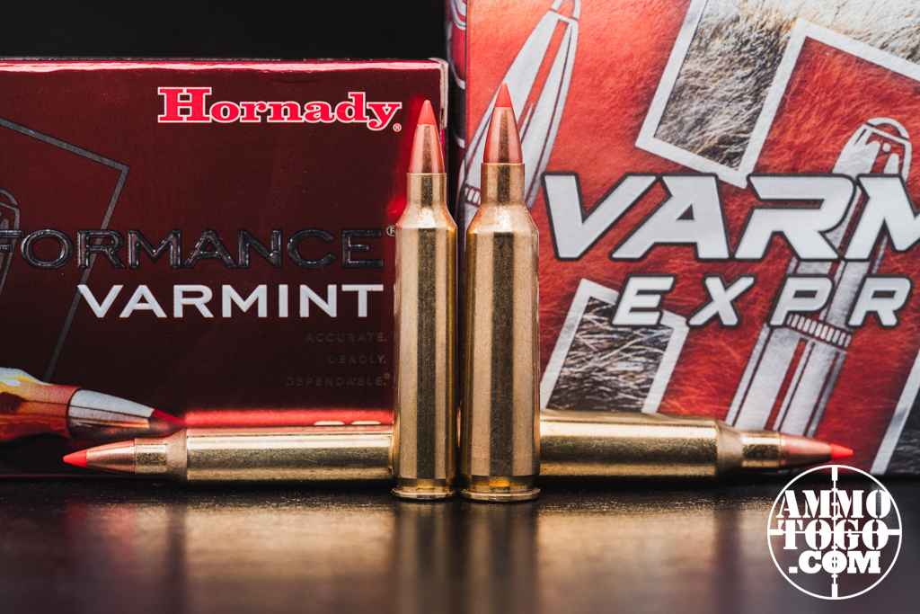 22-250 and 204 Ruger ammo side by side