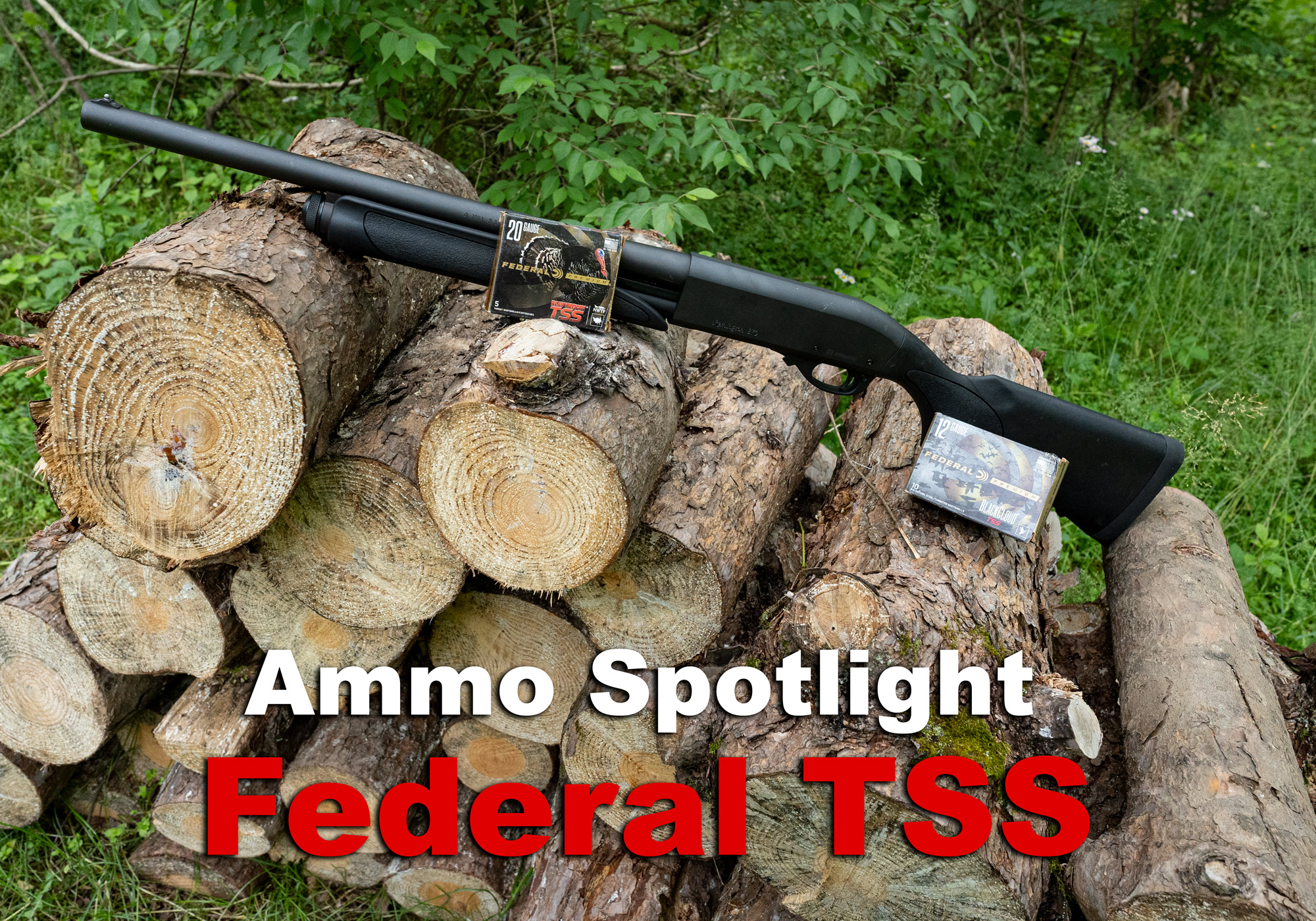 Federal TSS ammo and shotgun