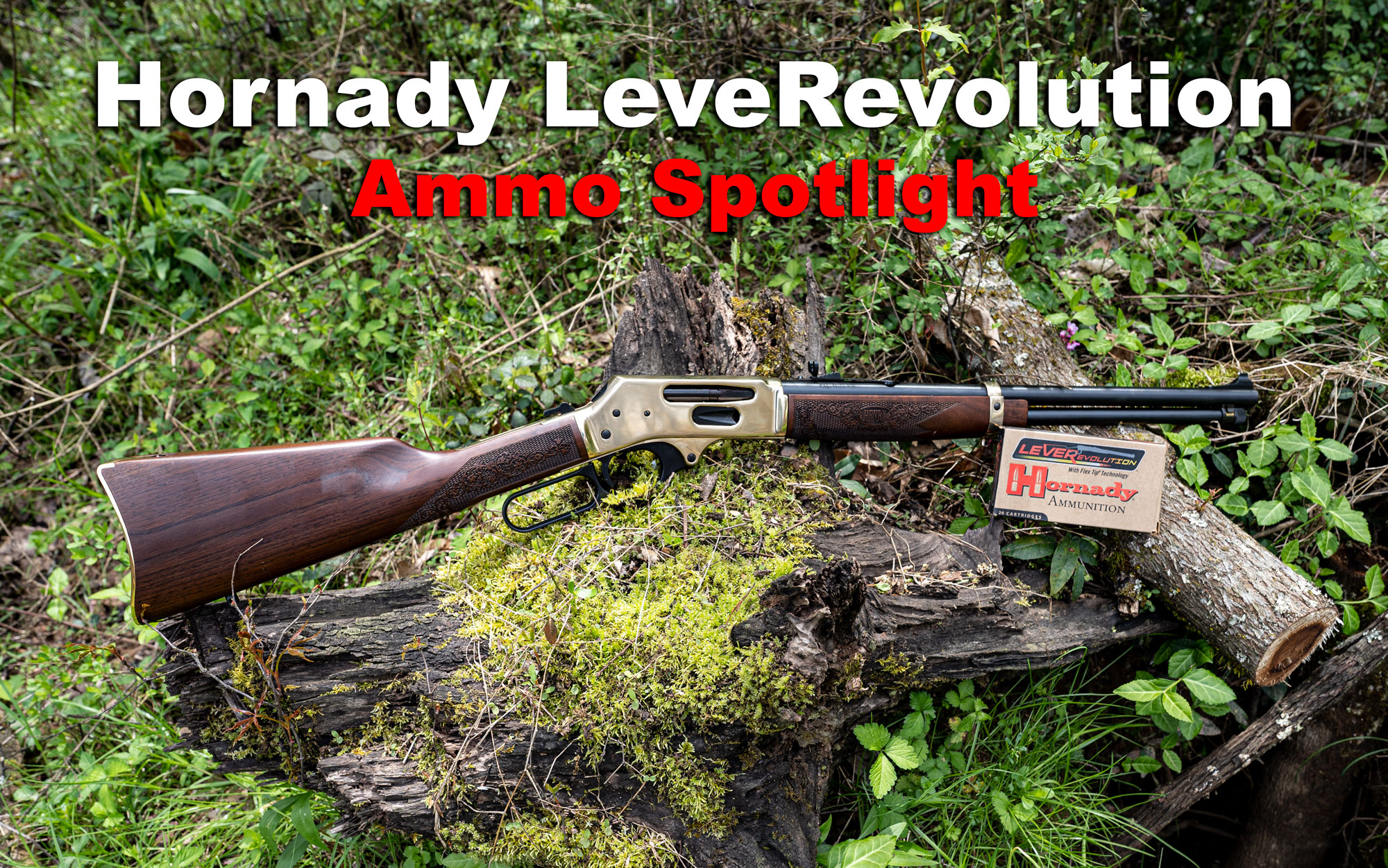 Hornady LeveRevolution amom and rifle