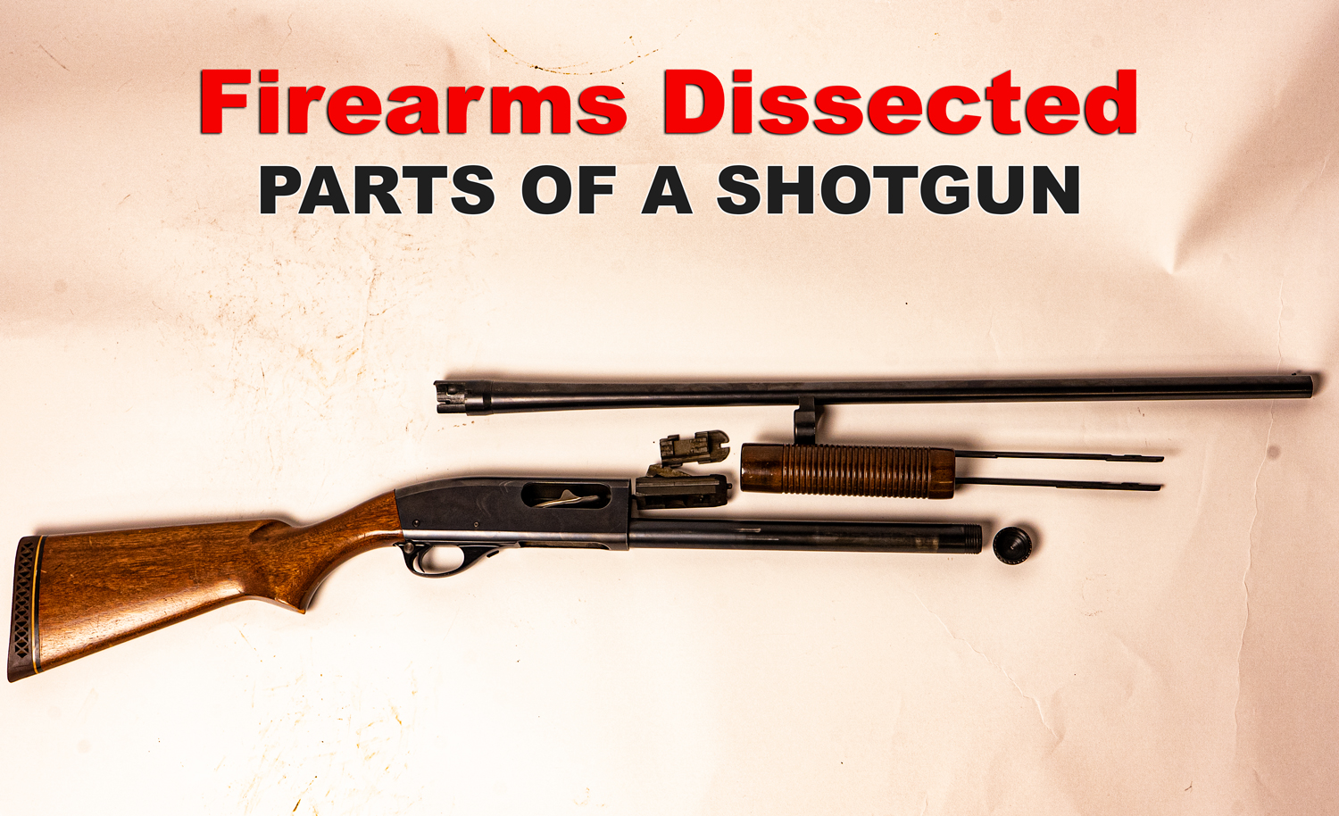 Parts of a Shotgun A Guide The Lodge at