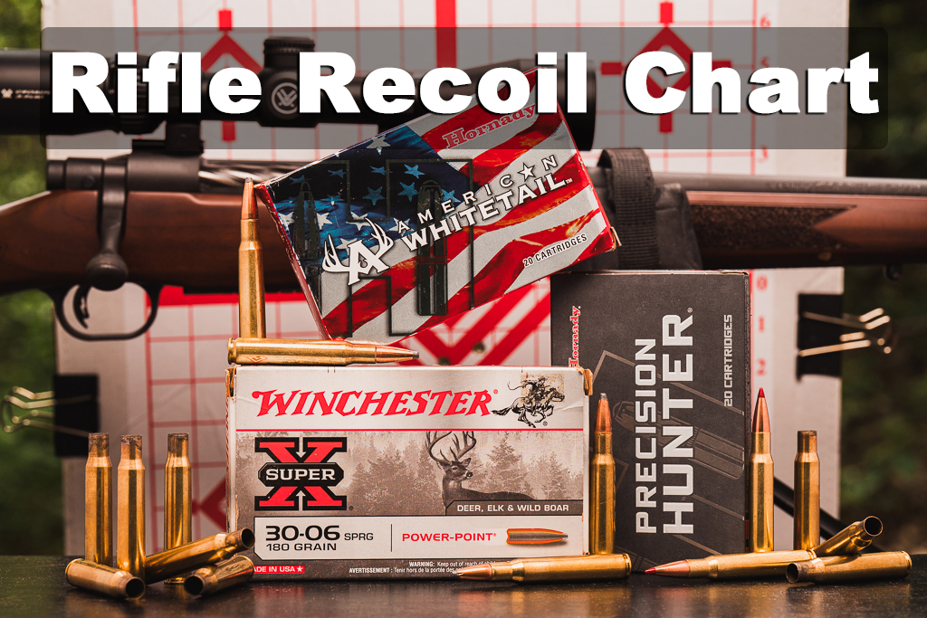 Rifle and ammunition options with a target in the background