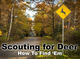How to Find Deer – The Basics of Scouting