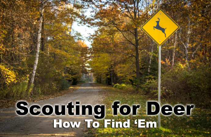 How to Find Deer – The Basics of Scouting