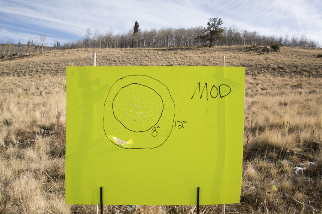 Lead vs. Steel Shot Shotgun Performance Comparison