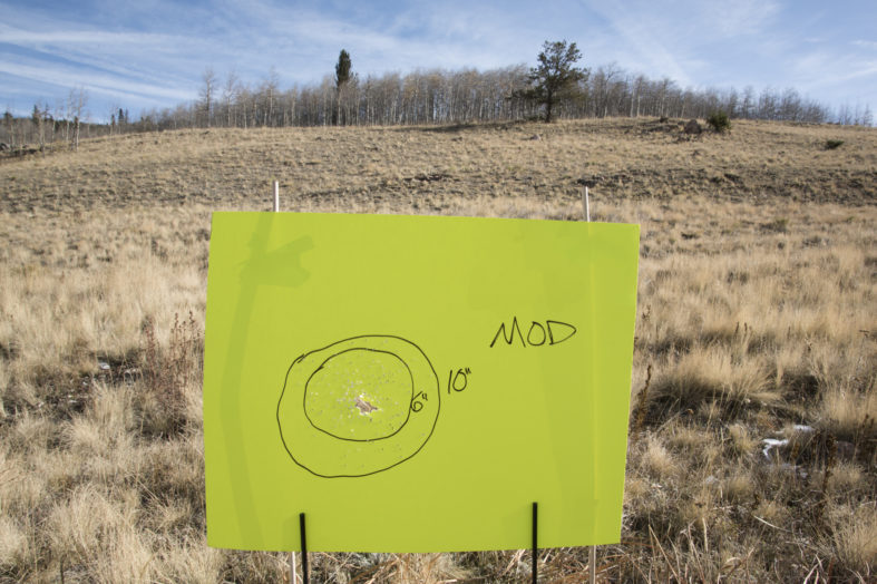 Lead vs. Steel Shot Shotgun Performance Comparison