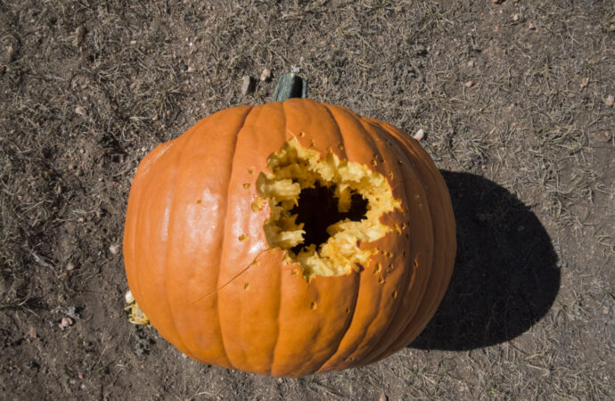 Pumpkin shot with steel shotgun ammo