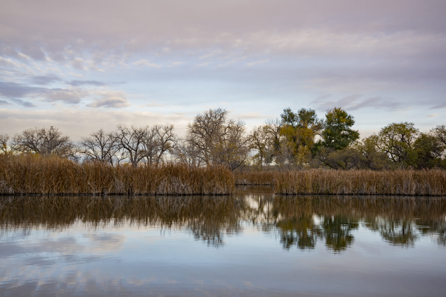 Where To Place Your Duck Decoys - Hunting Tips And Tactics