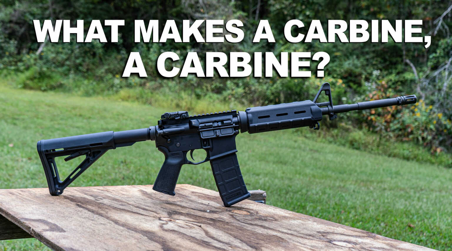 What is a Carbine? How Is It Different From a Rifle?