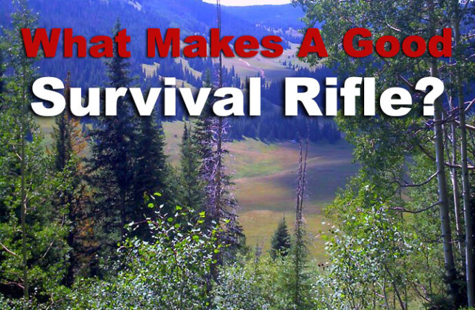 The Best Survival Rifle – What Makes A Good Choice?