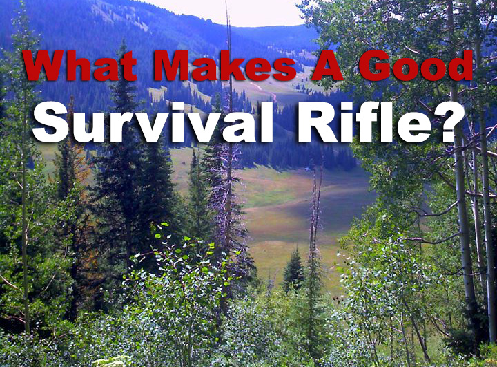 An outdoor scene where you are likely to need a survival rifle to thrive