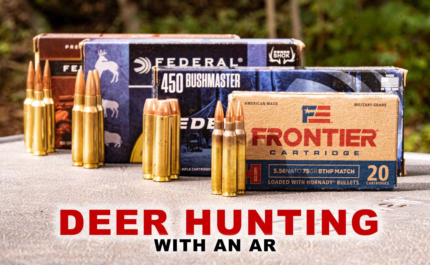 Best Deer Hunting Calibers for 2023