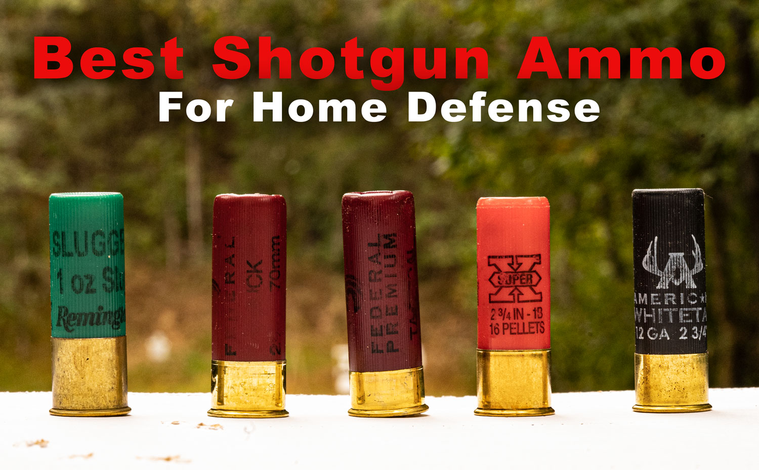 Best shotgun ammo for home defense choices
