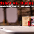 Birdshot vs buckshot at the shooting range