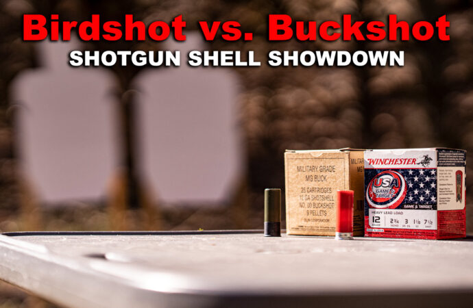 Birdshot vs. Buckshot – Best Home Defense Option