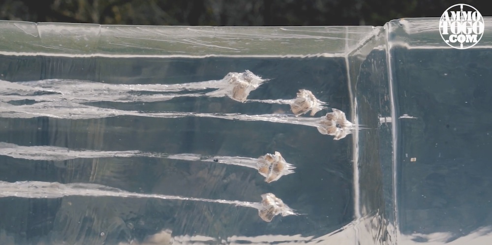 Buffalo Bore 10mm ammo tested with ballistic gelatin